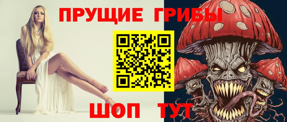 Псилоцибиновые грибы Psilocybine cubensis  Вход с VPN  Елизово 